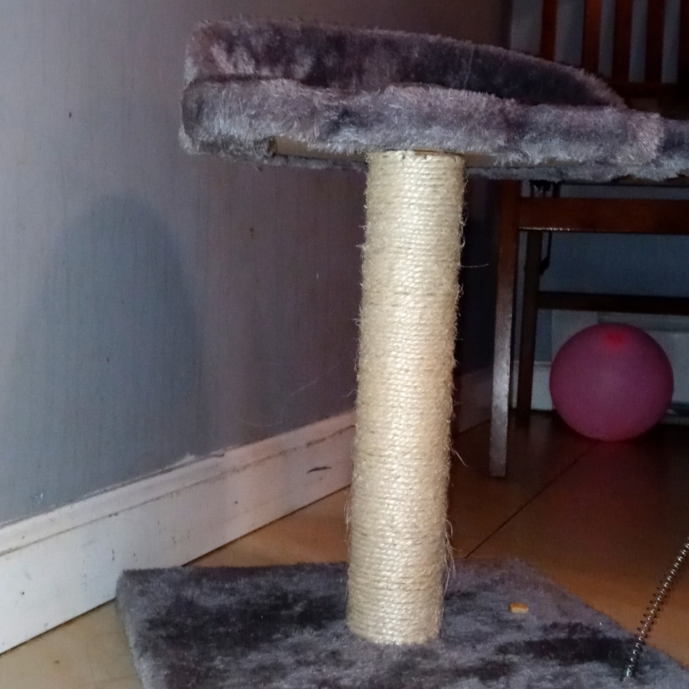 Cat Paw Scratcher Post for Cats
